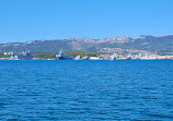 Visit the harbor of Toulon