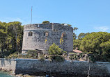 Visit the harbor of Toulon