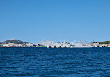 Visit the harbor of Toulon