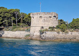 Visit the harbor of Toulon