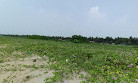 Thiruvathra Beach