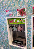 Sweet Frog Quincy