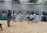 Minnesota State Fair