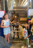 Minnesota State Fair