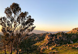 Box Springs Mountain Reserve Park