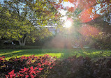 Enid A. Haupt Garden