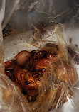 The Boiling Crab