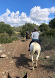 RIDING FUN IN THE SUN