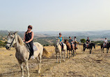 RIDING FUN IN THE SUN