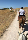 RIDING FUN IN THE SUN