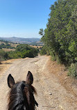 RIDING FUN IN THE SUN