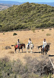 RIDING FUN IN THE SUN