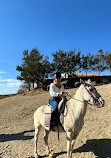 RIDING FUN IN THE SUN