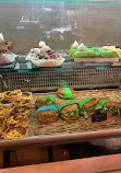 French Bakery