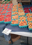 Lane County Farmers Market