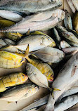 Kakkaitivu Fish Market