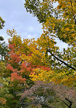 Toronto Music Garden