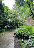 Toronto Music Garden