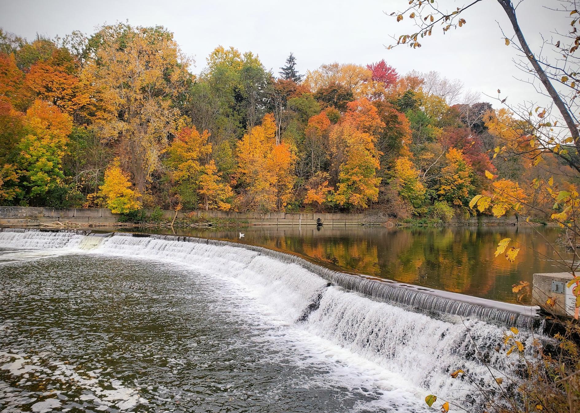 Old Mill Dam