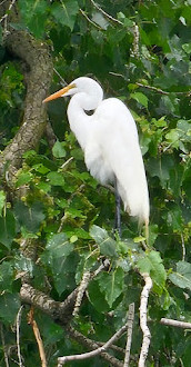 Barragem do Antigo Moinho