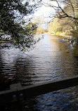 Hill Hook Nature Reserve