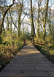 Hill Hook Nature Reserve