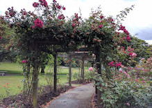 Parque de la montaña de Burnaby