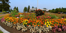 Parque de la montaña de Burnaby