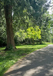 Cameron Park