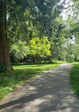 Cameron Park