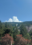 Burnaby Mountain Conservation Area