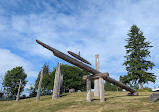 Burnaby Mountain Conservation Area