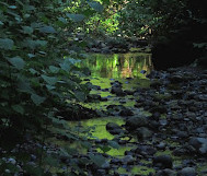 Byrne Creek Trail