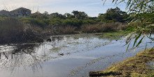 Zone umide di Baigup