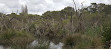 Baigup Wetlands