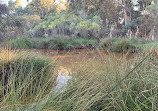 Baigup Wetlands