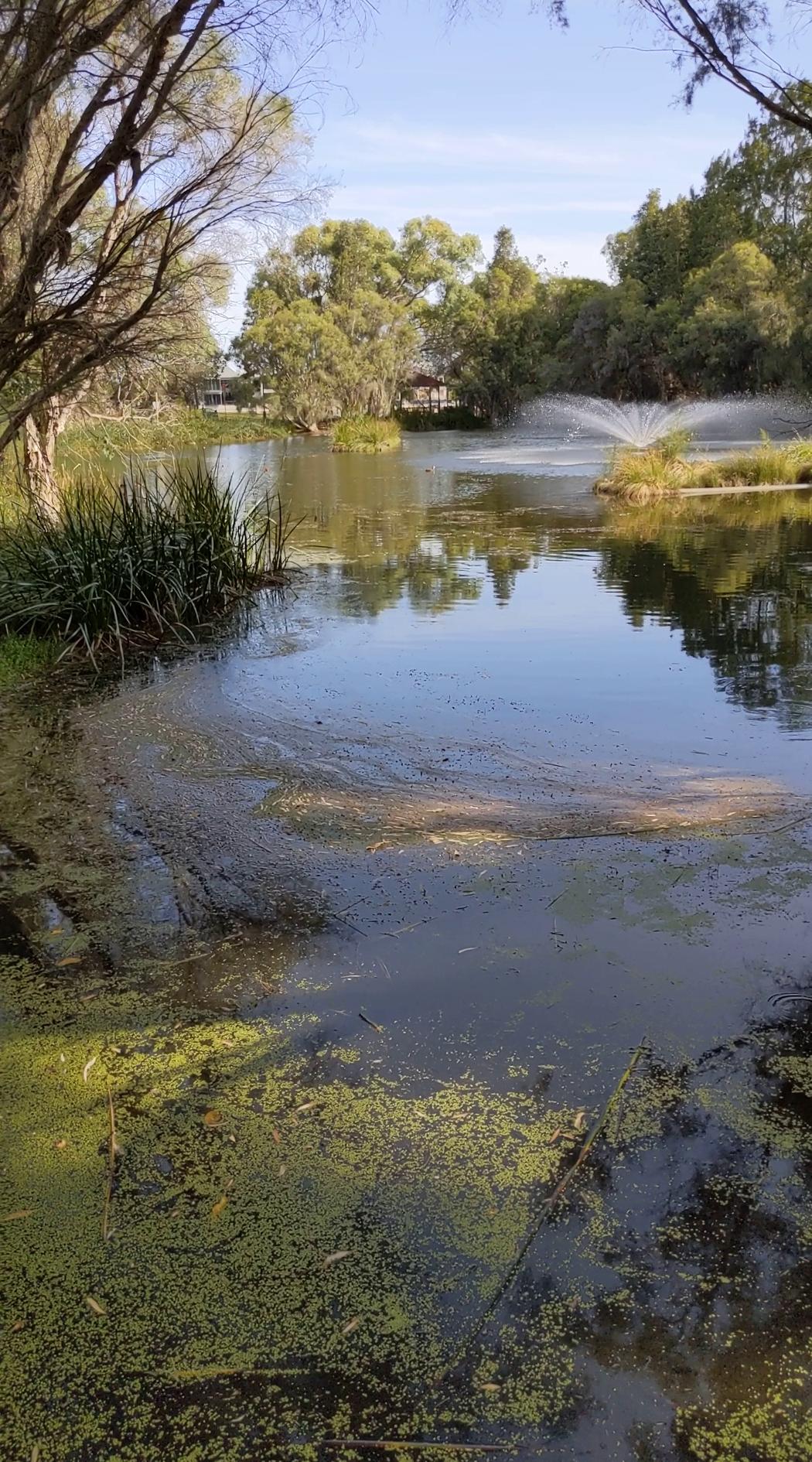 Lake Bungana Reserve