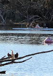 Bayswater Boat Ramp