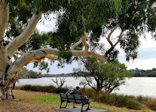 Shelley Beach Park