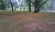 Bronx Park Basketball Courts