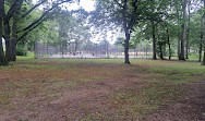 Bronx Park Basketball Courts