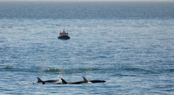 Clover Point Park