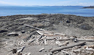 Clover Point Park