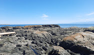 Clover Point Park