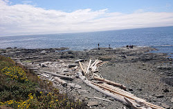 Clover Point Park