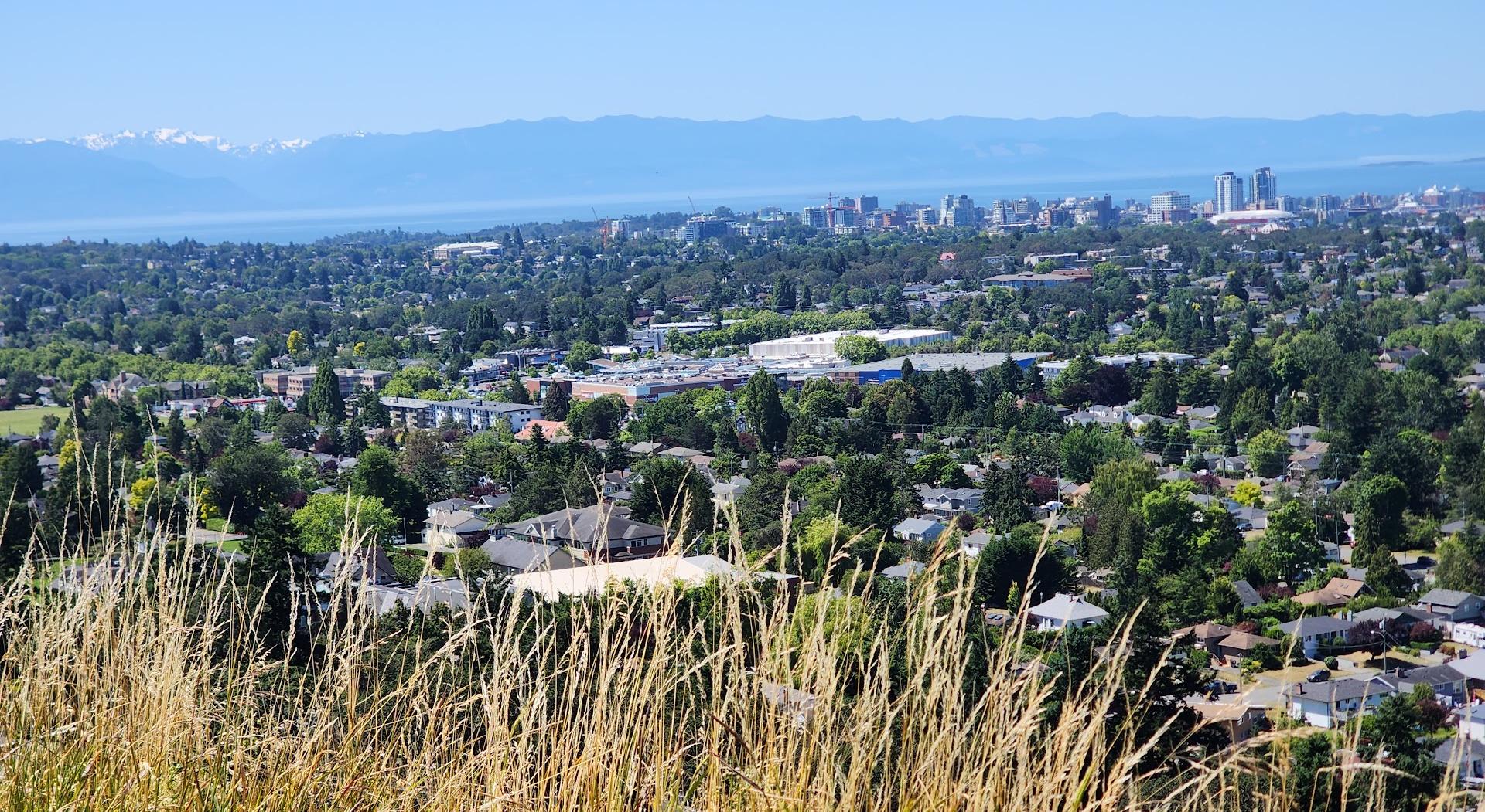 Mount Tolmie Park