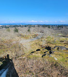 Mount Tolmie Park