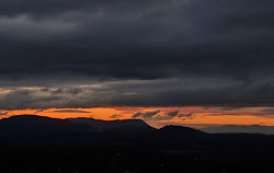 Mount Tolmie Park