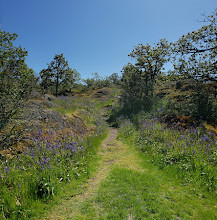 Mount Tolmie Park