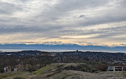 Mount Tolmie Park